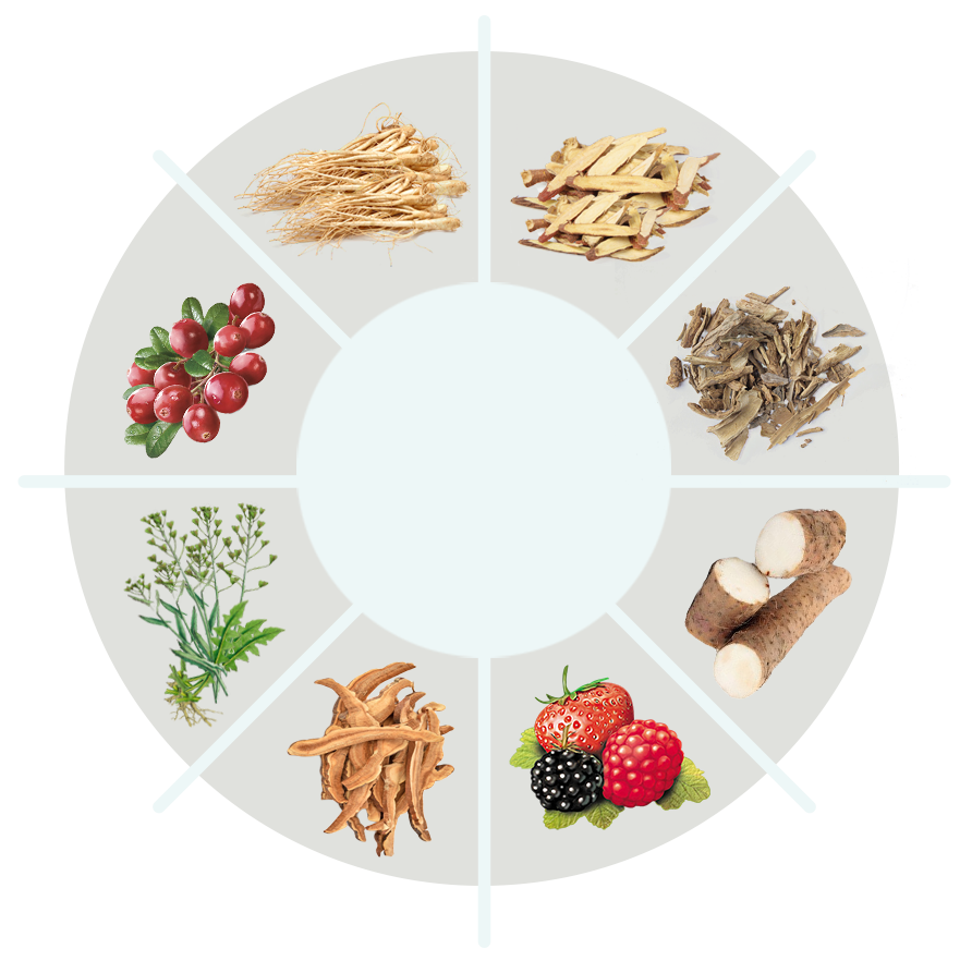 BackBiome Natural Ingredients